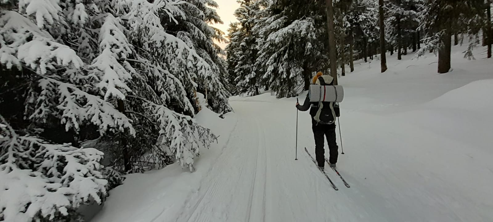 Winterwanderung 2022